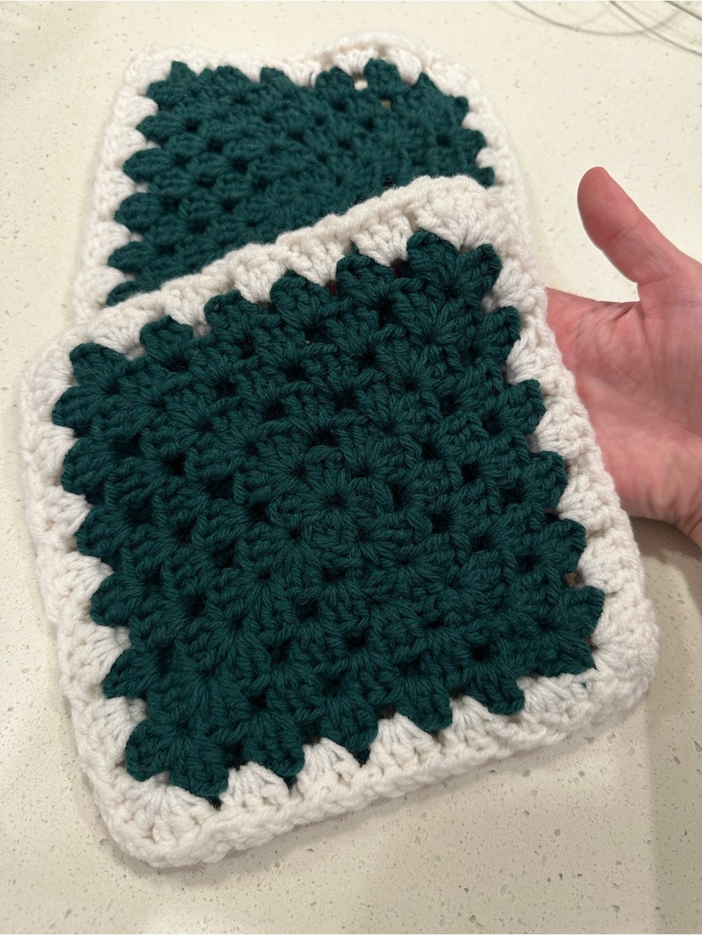 Handmade Crochet Pot Holders Set of 2 Green & White Hot Pads Kitchen Decor